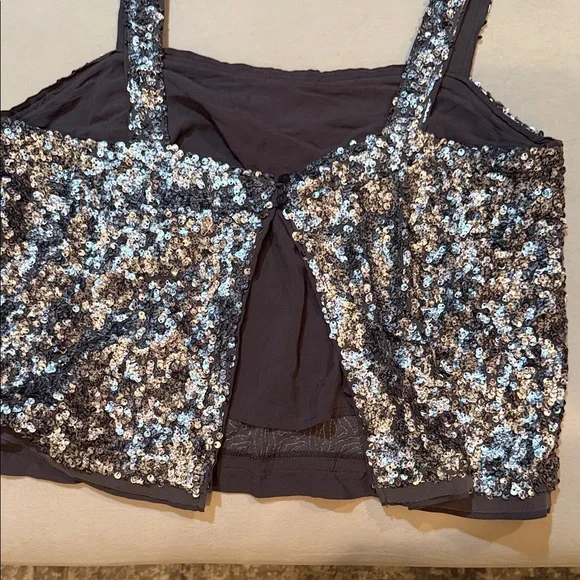 Abercrombie and Fitch Silver Sequin Crop Tank - Picture 1 of 6